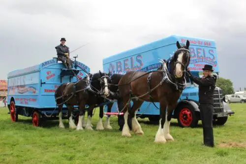 Abels Attends Haddenham 2017 Steam Rally